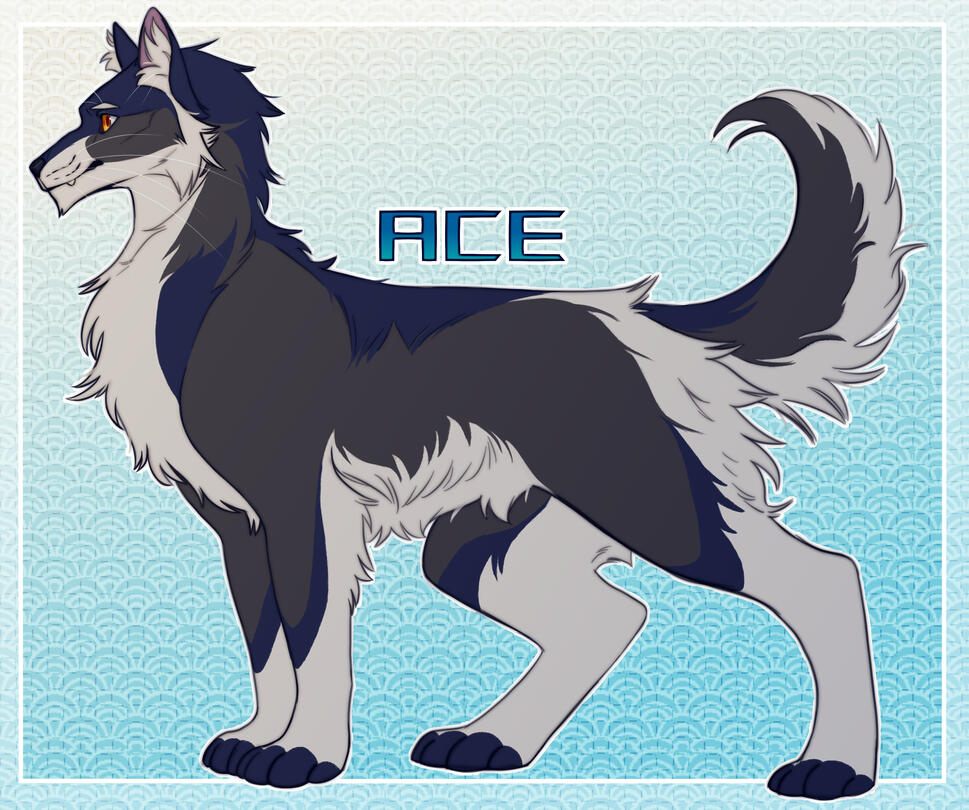 Ace OC Ace OC