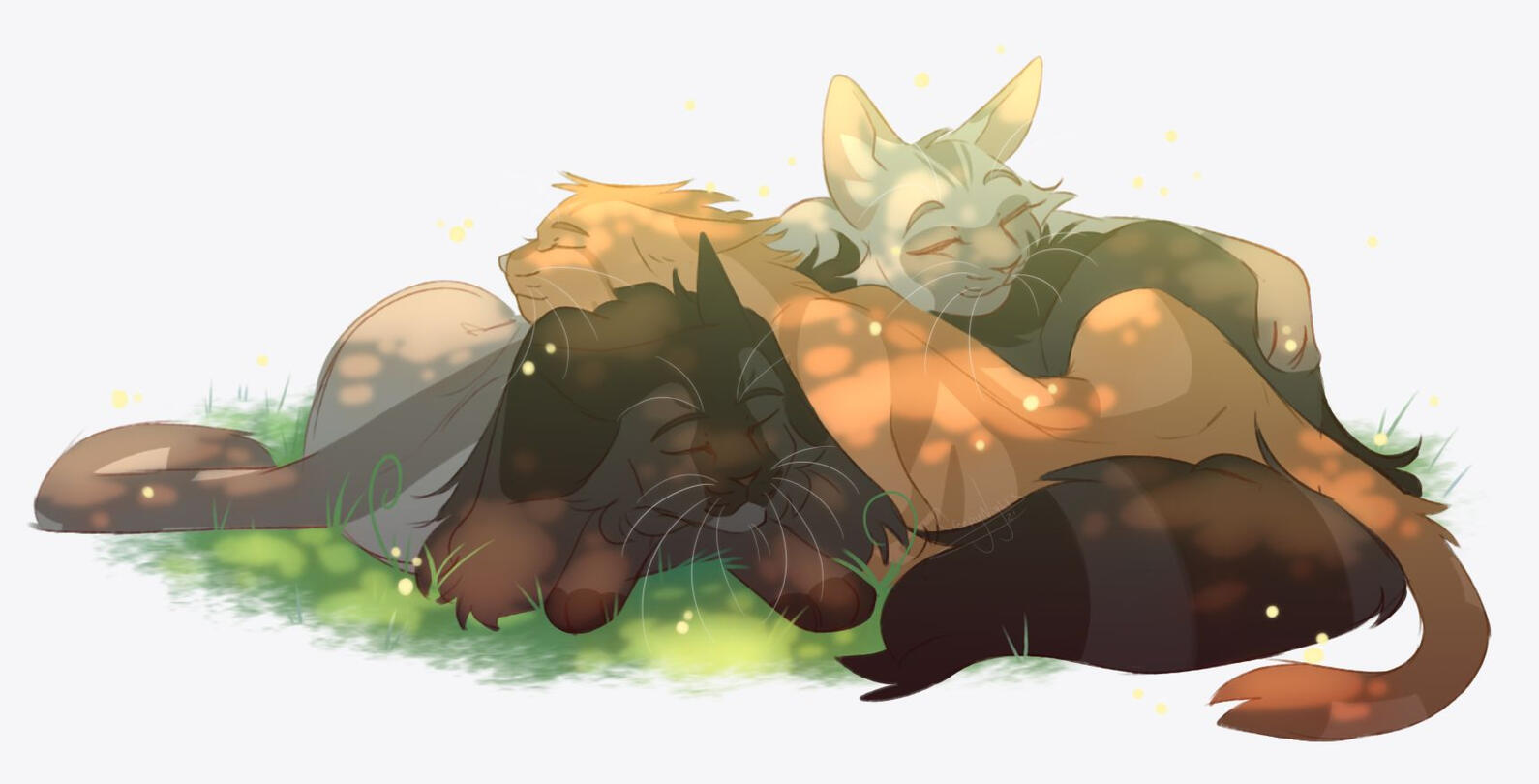 WC OCs WC OCs